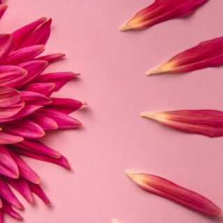 🌺PSICOSSOM&Aacute;TICA FEMININA