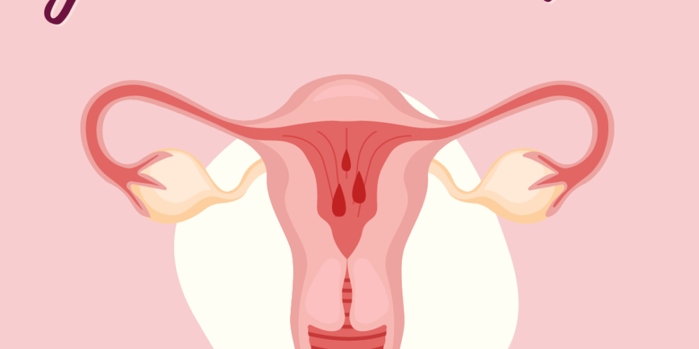 png_20230319_111555_0000