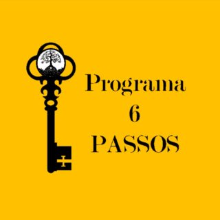 PROGRAMA 6 PASSOS- COMBO DOS 4 PROGRAMAS
