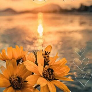 CONSTELAÇÃO ANÍMICA: ABUNDÂNCIA