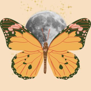 Constelação Animica: TRANSFORMAÇÃO- A minha melhor versão