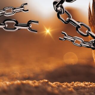 CRENÇA LIMITANTE PROFISSIONAL