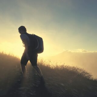 Projeto Acolher: DESTINO