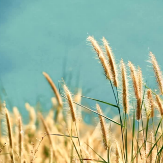 IMPERMANÊNCIA E USUFRUIR