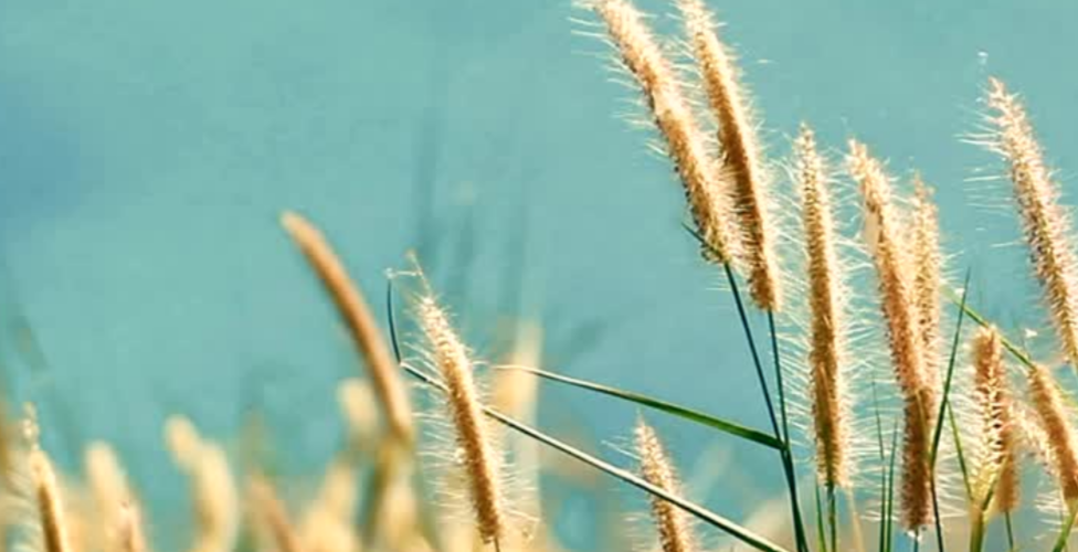 Screenshot_20240307-185032