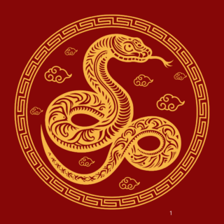 O ANO DA SERPENTE: UM CONVITE PARA DENTRO