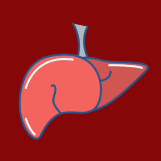 FÍGADO: A EMOÇÃO DA RAIVA