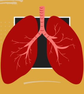 PULMÃO, RESPIRAÇÃO E ALERGIA: PROGRAMAS DE LIBERAÇÃO EMOCIONAL